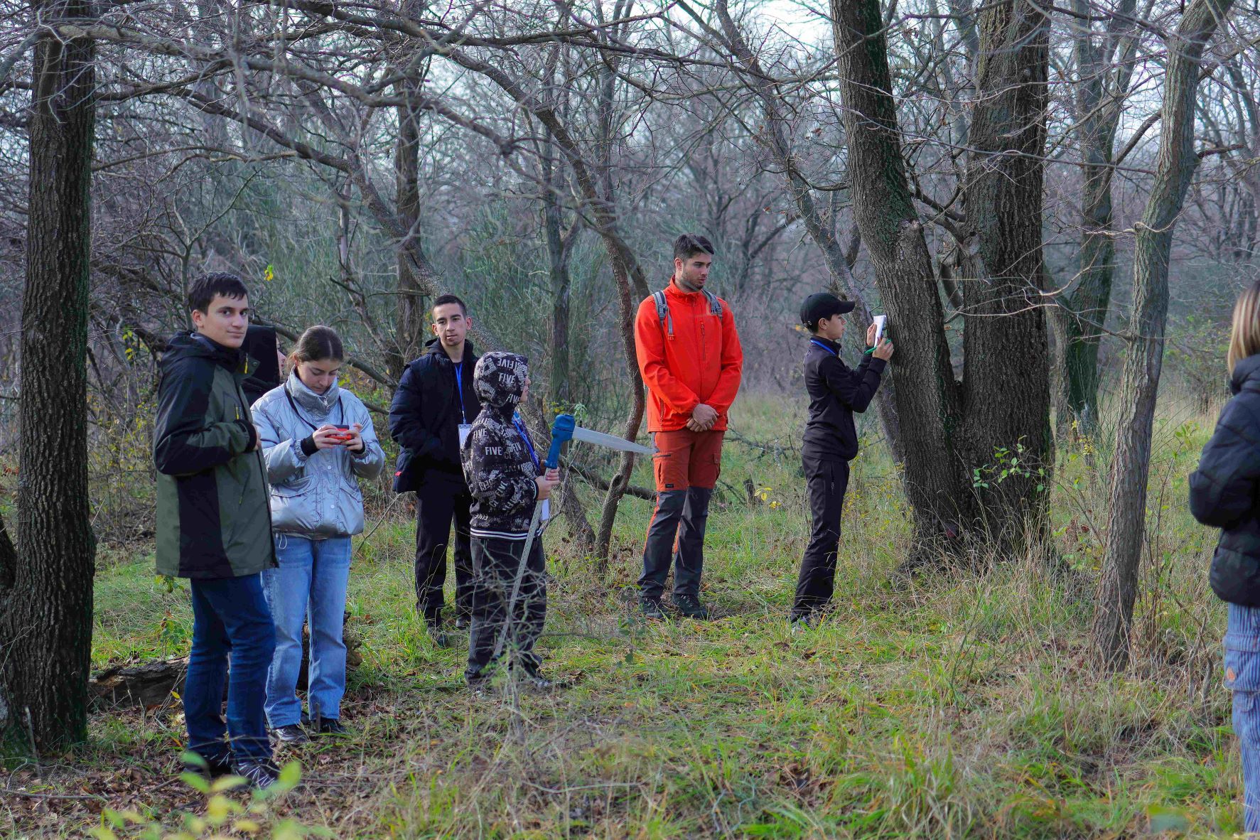 Personen stehen im Wald und inspizieren die Waldqualität