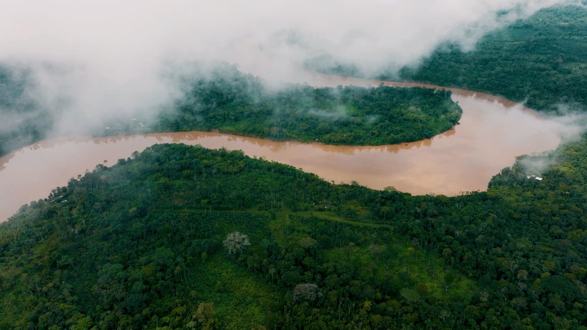 Amazonas Regenwald aus der Vogelperspektive