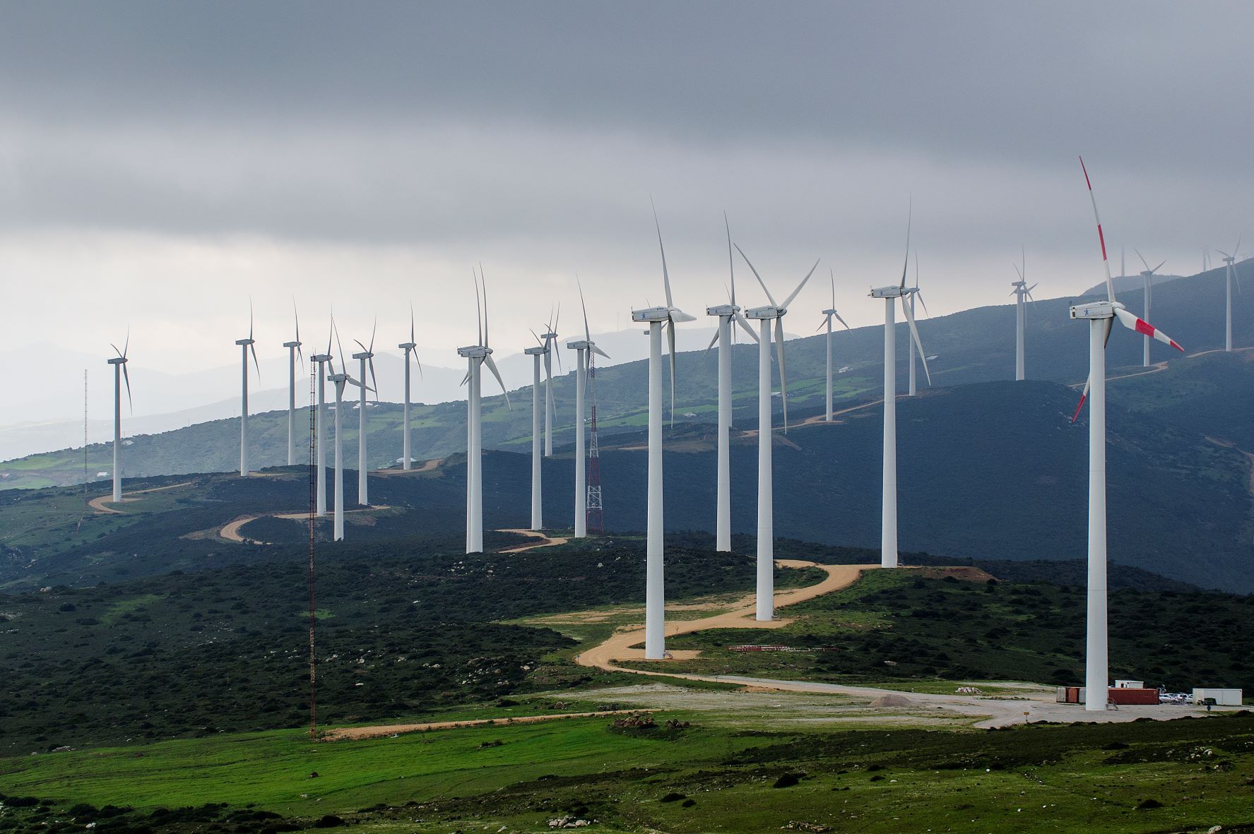 Landscape with dozens of wind turbines