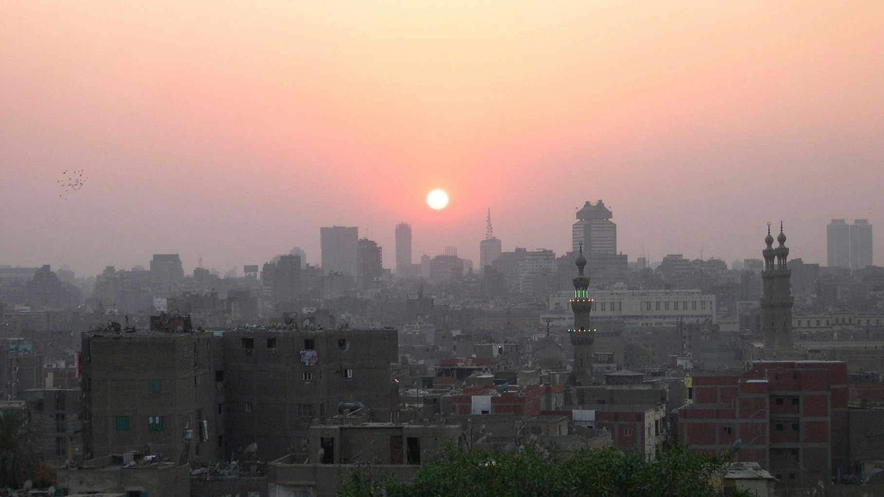 Within the framework of the Swiss cooperation programme with Egypt, SECO supports macro-economic reforms as well as more sustainable and inclusive economic development to the benefit of the population.