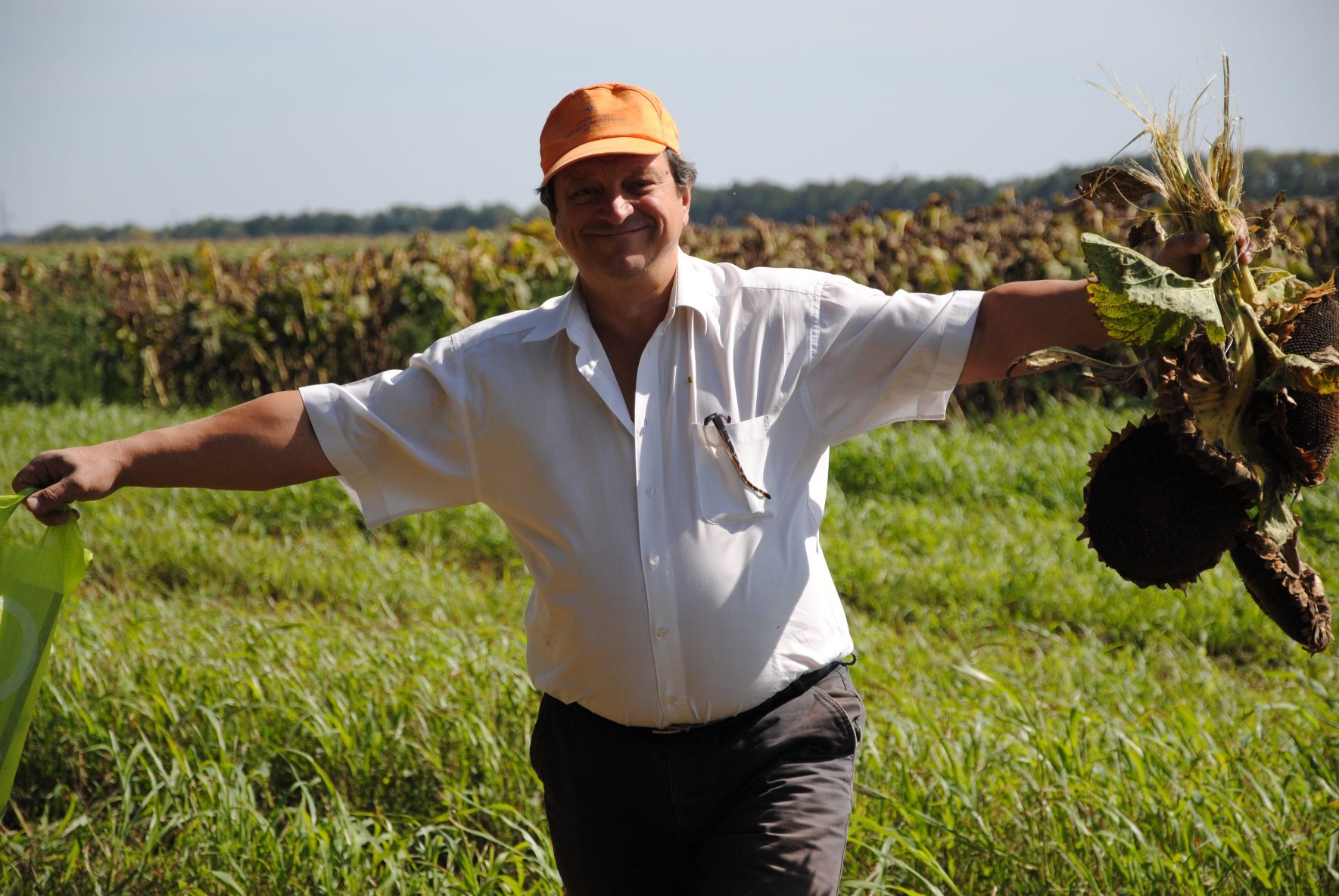 Farmer holds sunflower in the air and smiles